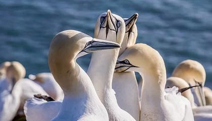 爱游戏官网-浙江男篮胜出，场上表现有目共睹！，浙江男篮百科